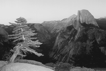 bw-half-dome.jpg