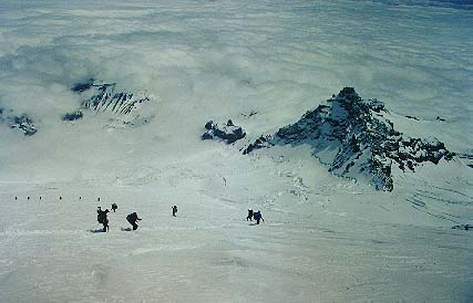 desecnt.jpg (25995 bytes)